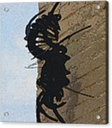 Black Widow Spider Art Acrylic Print