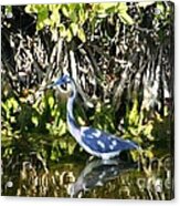 Blue Heron Acrylic Print