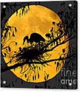 Blue Heron On Roost Acrylic Print