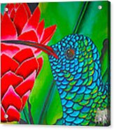 Blue Hummingbird - Exotic Bird Acrylic Print