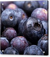 Blueberry Background Acrylic Print