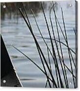 Boat In The Bullrushes Acrylic Print