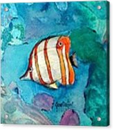 Bottle Nose Tropical Fish Acrylic Print