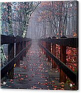 Bridge To Mist Woods Acrylic Print