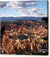 Bryce Canyon Ampitheater Acrylic Print