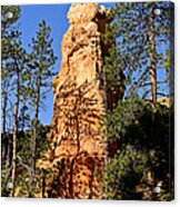 Bryce Canyon Hoodoo Acrylic Print