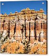 Bryce Canyon Towers Acrylic Print