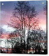 Butterfly Wings Of Pink In The Sky Acrylic Print