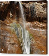 Calf Creek Falls Acrylic Print