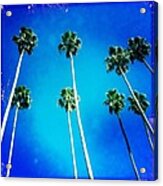 California Palm Trees Acrylic Print