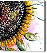 California Sunflower Acrylic Print
