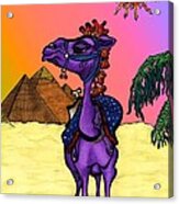 Camel In Giza Acrylic Print