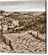 Cape Cod Dunes Acrylic Print