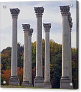 Capital Columns Acrylic Print