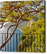 Capri Panorama With Tree Acrylic Print