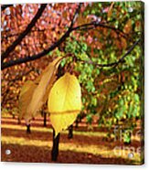 Cheery Tree Sheet Acrylic Print