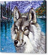 Cheyenne Wolf Acrylic Print