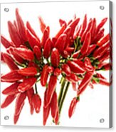 Chili Peppers Acrylic Print