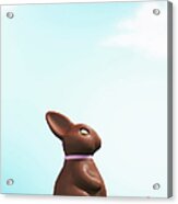 Chocolate Easter Bunny Amongst Flowers In Grass, Side View Acrylic Print