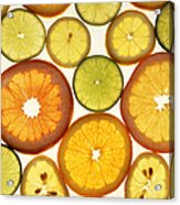 Citrus Slices Acrylic Print