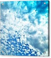 Cloudy Blue Sky Acrylic Print