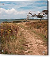 Coastal Path Acrylic Print