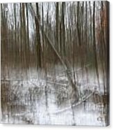Cold Woods Abstract Acrylic Print