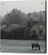 Coleshill Acrylic Print