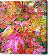 Colorful Autumn Acrylic Print