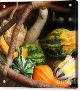 Colorful Fancy Gourds Acrylic Print