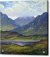 Connemara Landscape With Cattle By Lake Acrylic Print