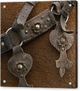 Detail Of Ornate Leather Horse Tack Acrylic Print