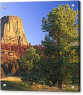 Devils Tower National Monument Showing Acrylic Print