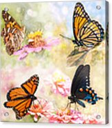 Dreamy Butterfly Collage Acrylic Print