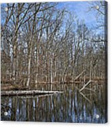Early Spring Reflections Acrylic Print