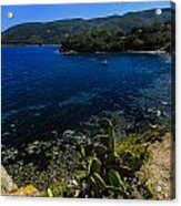 Elba Island - The Path To The Beach - Ph Enrico Pelos Acrylic Print