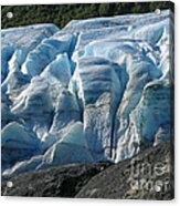Exit Glacier Viewpoint Acrylic Print