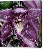 Fabuloso Orchid Painting Acrylic Print