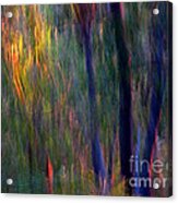 Faeries In The Forest Acrylic Print by Michelle Wrighton