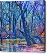 Fairytale Swamp Acrylic Print