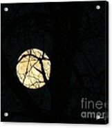 Feb Full Moon Acrylic Print