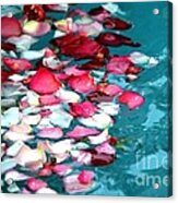 Floating Rose Petals Acrylic Print