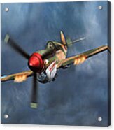 Flying Tiger P-40 Warhawk Acrylic Print