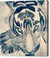 #gcse #art #drawing #tiger #sketch Acrylic Print