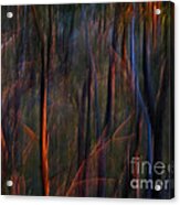 Ghost Trees At Sunset - Abstract Nature Photography Acrylic Print by Michelle Wrighton