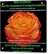 Give Your Vote For Me Please Acrylic Print