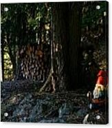 Gnome And The Woodpile Acrylic Print