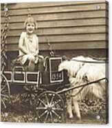 Goat Wagon Acrylic Print