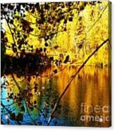 Gold And Blue Pond Acrylic Print