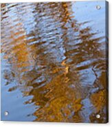 Gold And Blue Reflections Acrylic Print by Michelle Wrighton